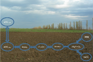 Ученые ЮФУ создали модель химического равновесия в загрязненных почвах