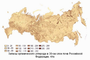 Ученые оценили запасы углерода в почвах России