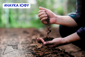 Russian scientists have created a scale of "soil health" in case of lead contamination