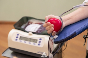 Students and staff of ETA SFedU took part in the "Blood Donation Cup – 2024"