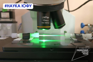 Scientists of the Southern Federal University and the Russian Academy of Sciences have implemented the synthesis of silicones in microfluidic reactors