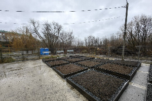 Здесь будет город-сад: в ЮФУ повышают эффективность почвенных конструкций, которые не дадут погибнуть растениям на крышах многоэтажек