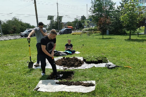 Почвы в городской черте Ростова-на-Дону не вредят углеродной нейтральности города — выяснили в ЮФУ