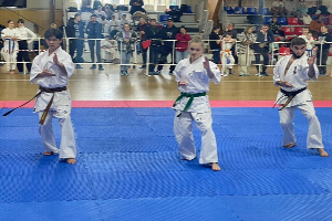 The entire set of Kyokushin medals was won by students of the Southern Federal University