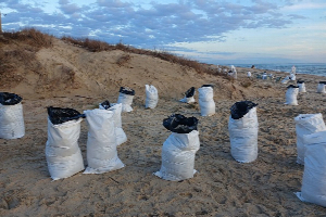 Volunteers from SFedU are helping to fight the environmental disaster on the Black Sea coast