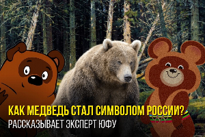 Русский, мармеладный и олимпийский: эксперт ЮФУ рассказал об образе медведя в массовой культуре