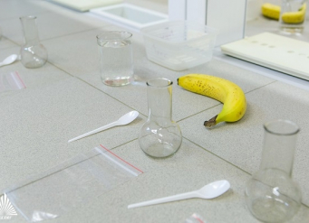 В День ДНК рассказываем, как выделить ДНК из банана